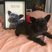 Cargar imagen en el visor de la galería, Retrato Personalizado de Mascotas